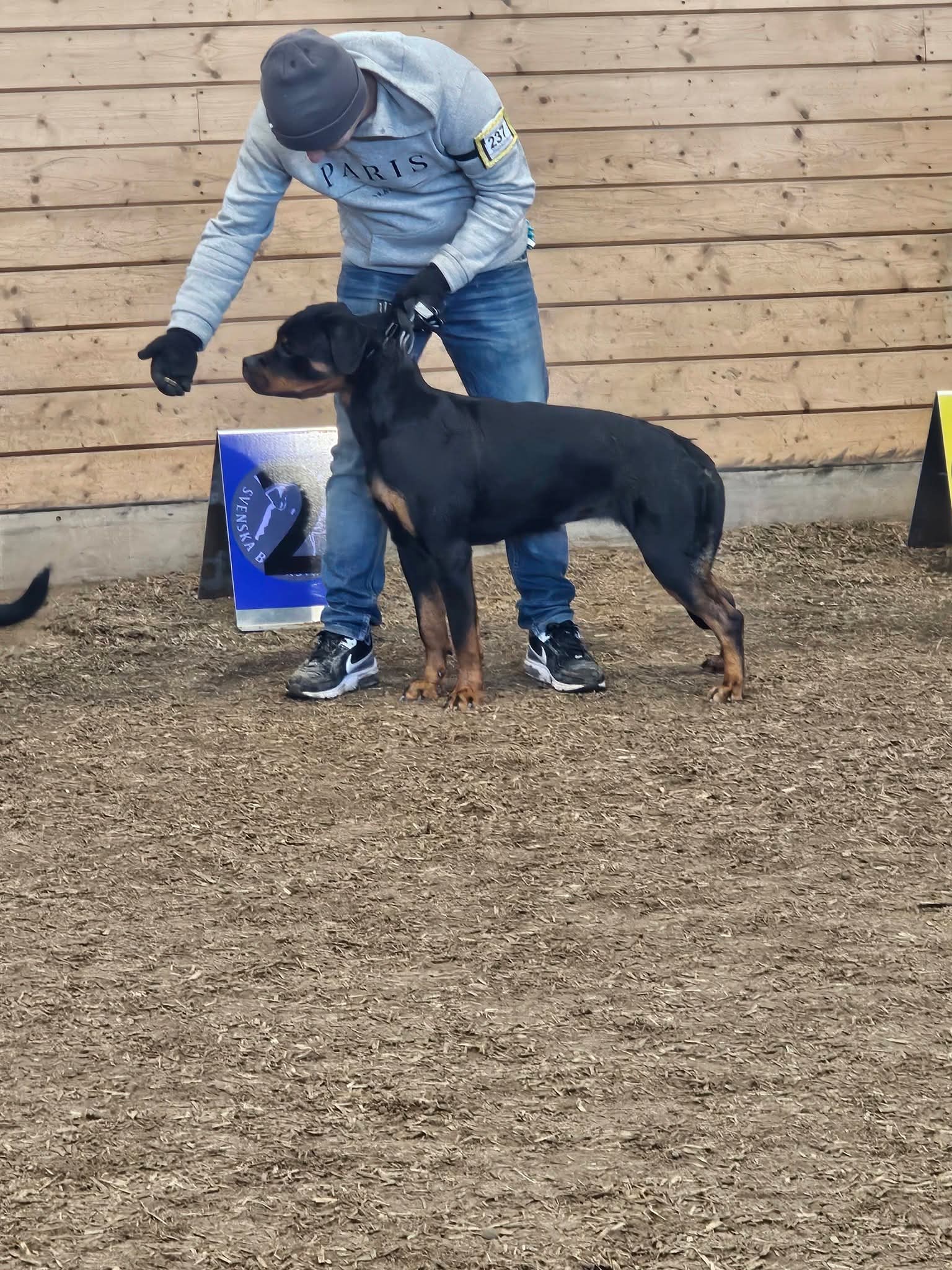 Inofficiell I Bålsta